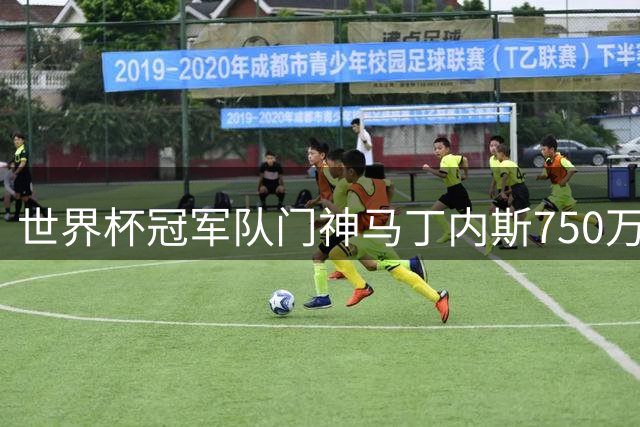 世界杯冠军队门神马丁内斯750万镑加盟切尔西